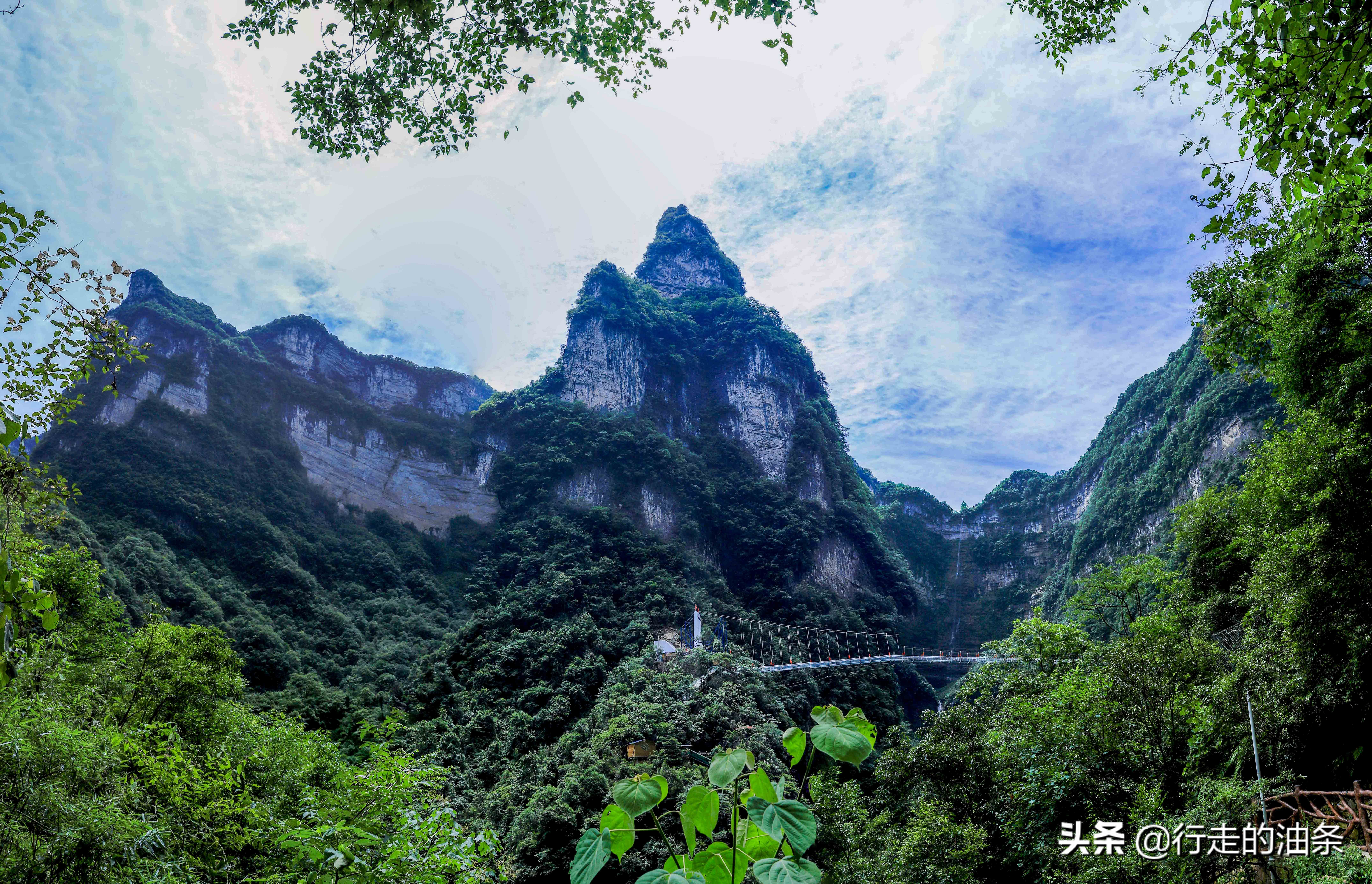 三峡竹海秭归,秭归三峡竹海