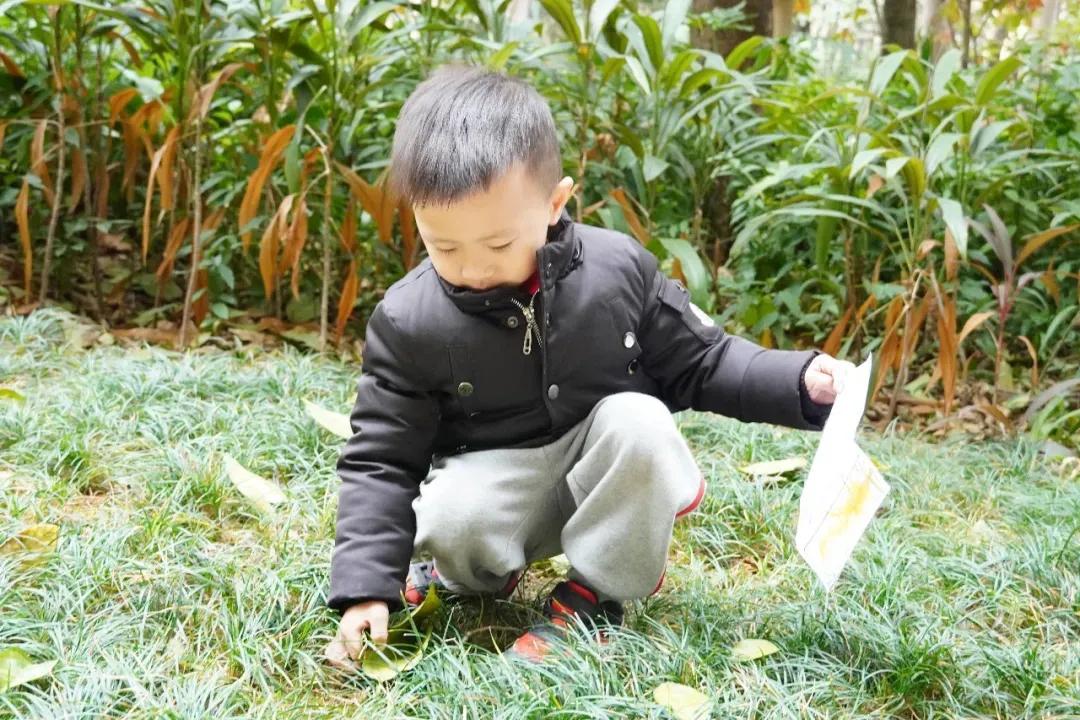 地球变臭了怎么办,地球变灰了