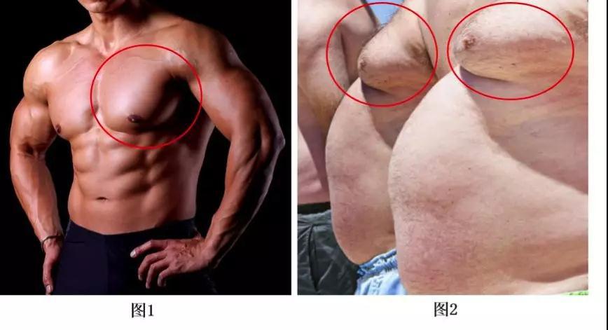 男生胸大尴尬怎么瘦,男人的胸肉太大怎么解决