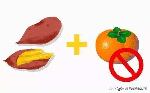 木柿子不能跟什么食物同吃,柿子不能和什么食物一起吃的