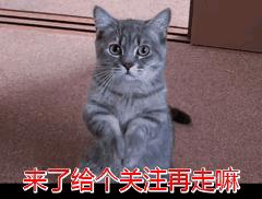 宿州心灵之宿,宿州心灵归宿幸福之州介绍