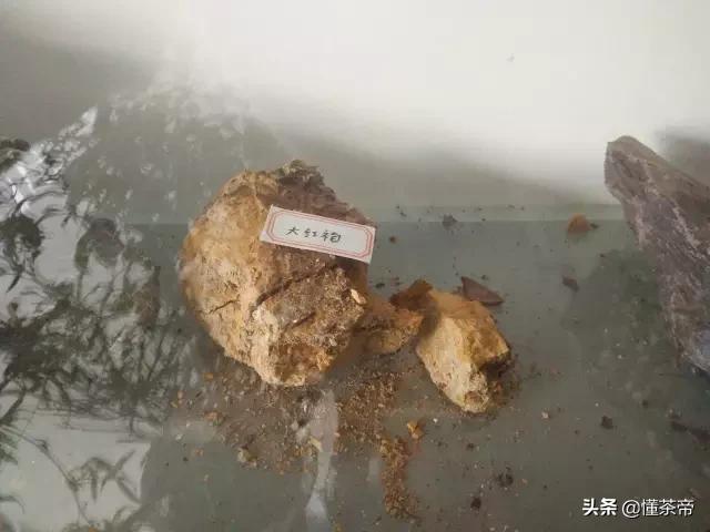 红泥朱泥大红袍有什么区别,朱泥与红泥大红袍欣赏图