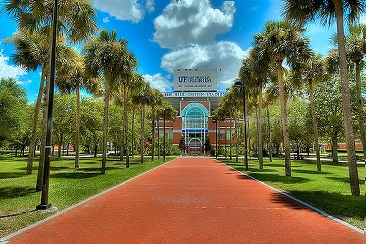 佛罗里达大学和佛罗里达州立大学,就读佛罗里达州立大学是什么体验