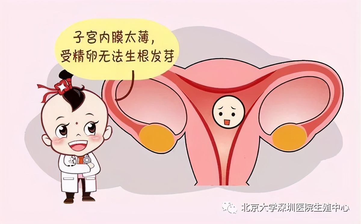 移植优质胚胎着床失败原因,品质差的胚胎为啥还要移植呢