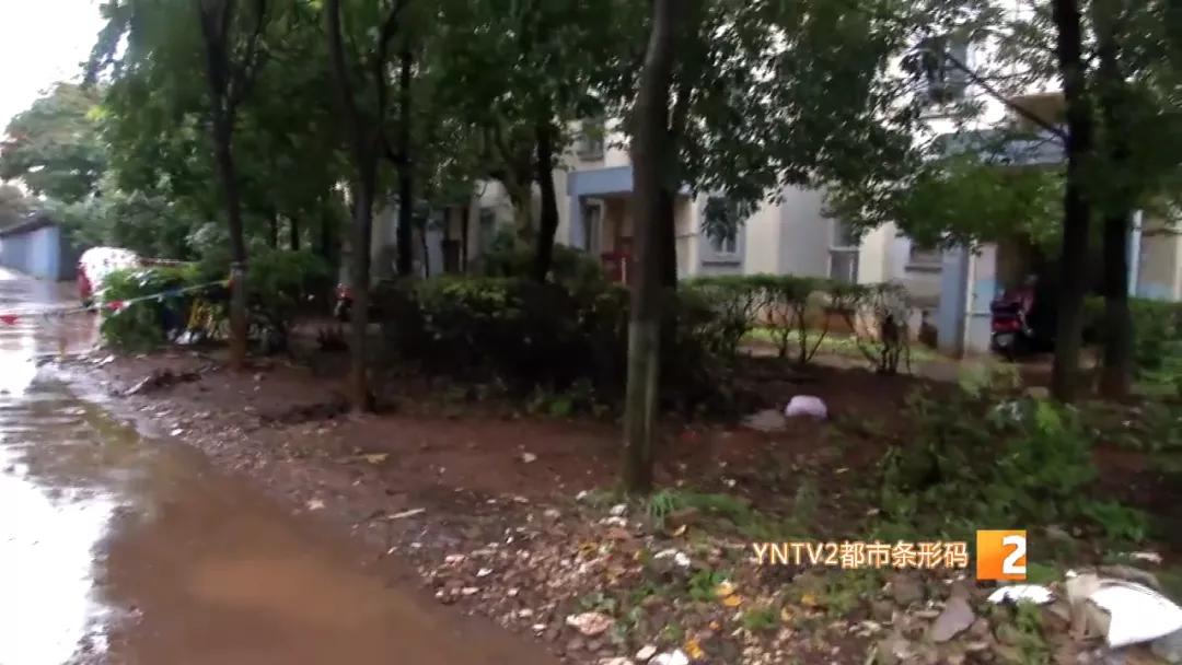 洪水涌入地下车库视频播放,洪水涌入地下停车场