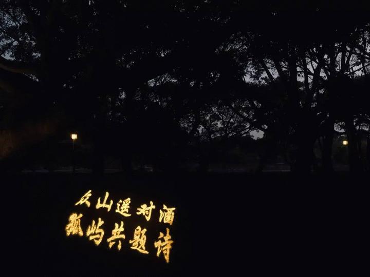 江心屿值得看的地方,最美江心屿