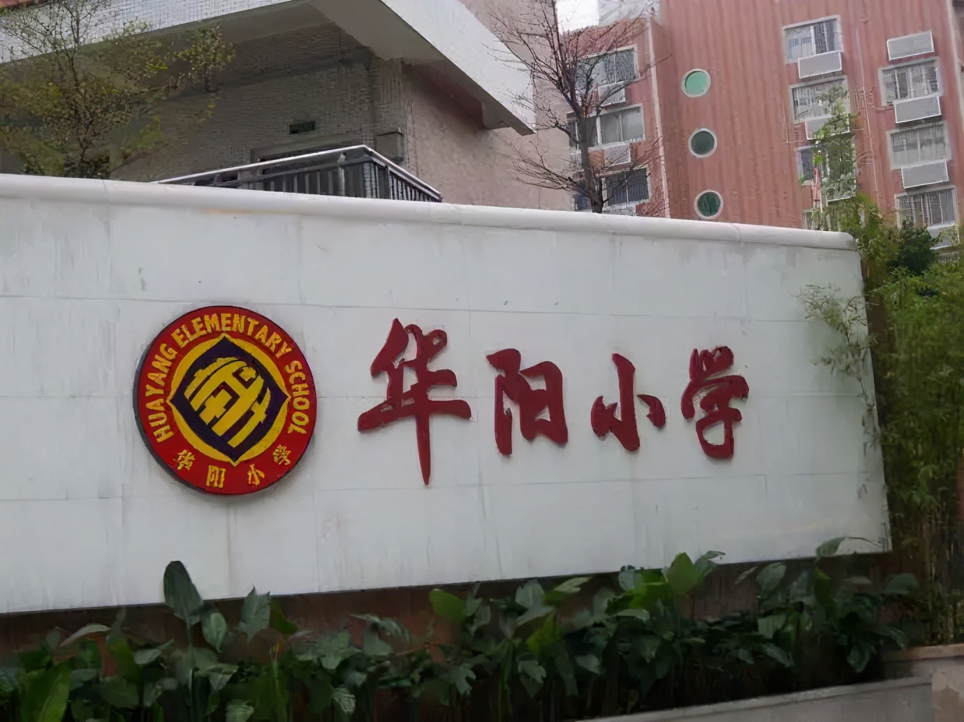 直升广州中学够不够？华阳、龙口西、华康小学小升初出路分析