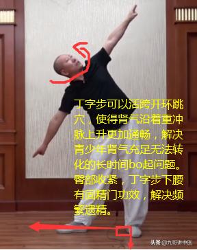 体（中）:体的枢纽中心与感觉感受