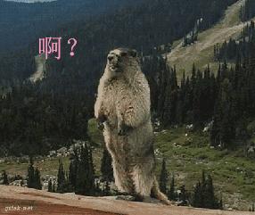 在洛阳，收入多少能达到中上水平，看完我哭了。