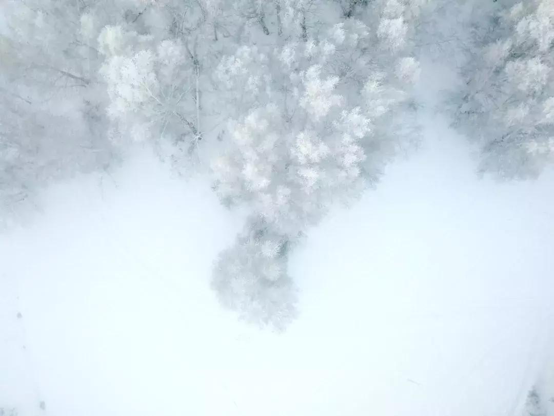 冬天的阿勒泰冰雪,冬天的雪冰雪奇缘