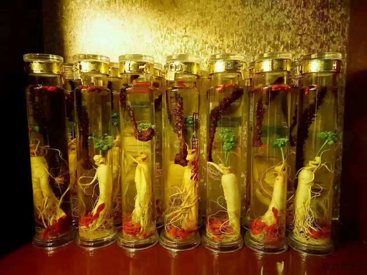 野生黄蜂酒,广东人泡酒料
