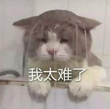 蜜蜡小知识学会少吃亏,蜜蜡初学者基础知识