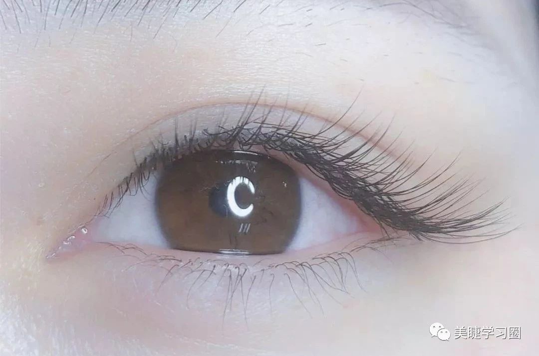 日式美睫是什么,日式跟中式美睫区别