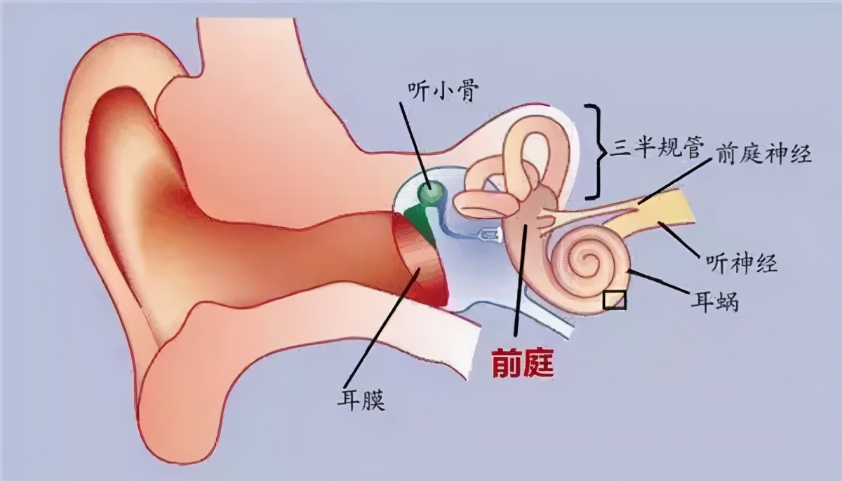 晕车晕得想吐,晕车晕到怀疑人生吐得一塌糊涂