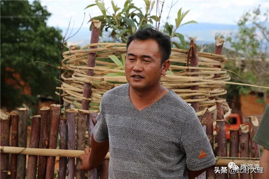 弥渡县这几个村人居环境大评比，结果怎么样？