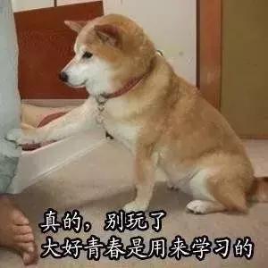 2019届毕业生平均薪资,应届毕业生工资低怎么办