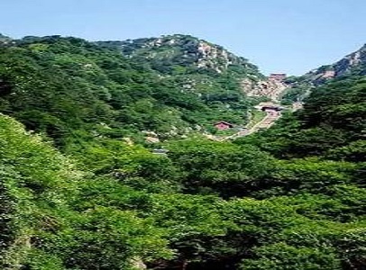 打油诗来历简短,什么是打油诗为什么叫打油诗