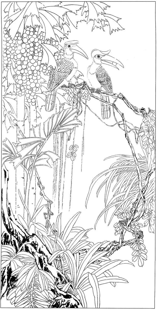 工笔花鸟白描步骤图,牡丹六尺横幅白描工笔花鸟底稿