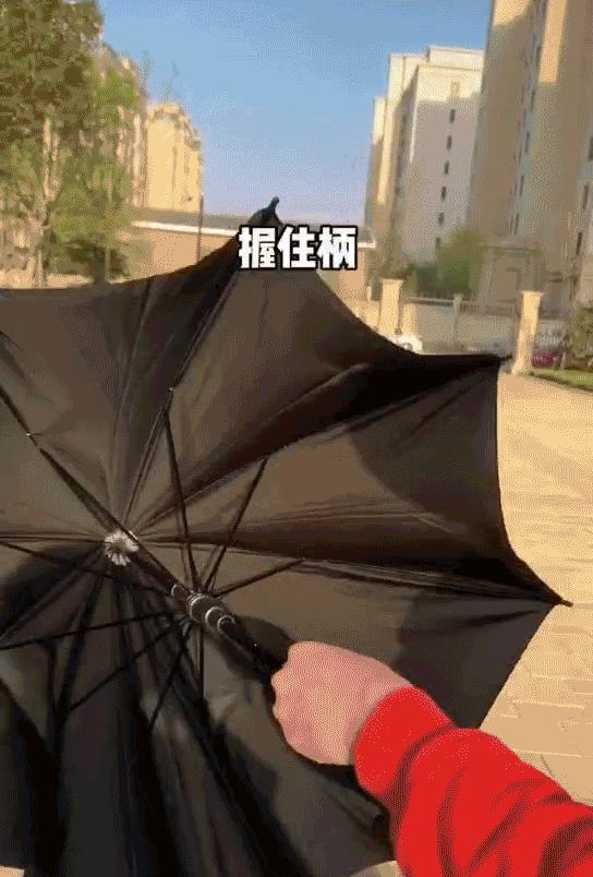 可以拿来装逼的冷知识又增加了