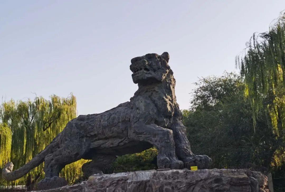 北京动物园图记,漫步北京动物园