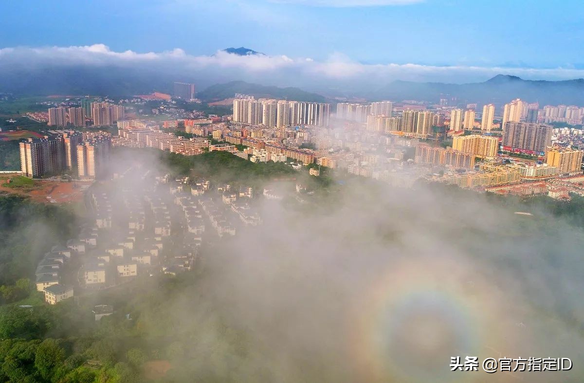 阳春市河口镇有多少人口,阳春市各镇人口排名视频