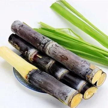 甘蔗甜过初恋,黑皮甘蔗哪头甜