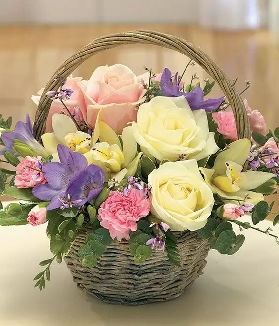 教你怎么学插花,小白零基础怎么学插花