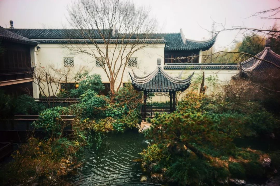 杭州四季如春景点,杭州最仙气的景点