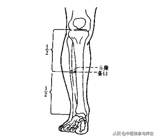 体内水湿泛滥怎么办,体内水湿严重怎么调理