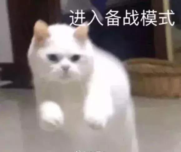米饭辟谣,有虫的大米可以吃吗