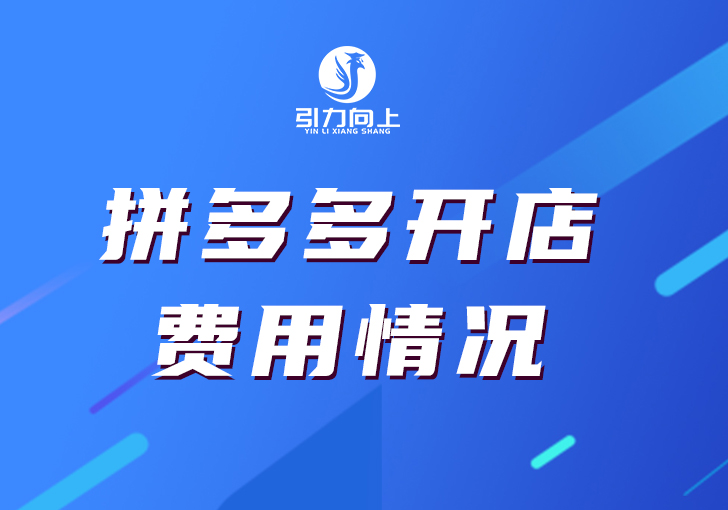 拼多多营销策略运营思维,拼多多高端品牌运营方案