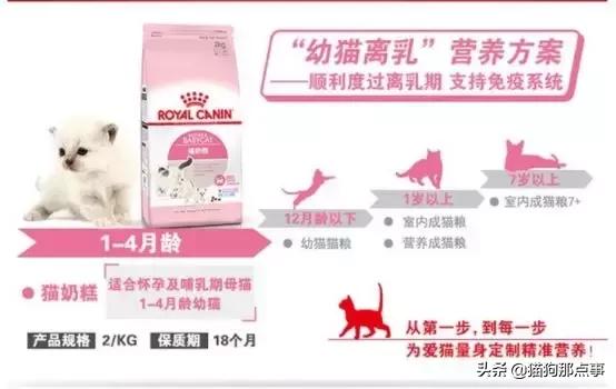 皇家幼猫全价猫粮和奶糕猫粮区别,皇家奶糕猫粮和冠能哪个好