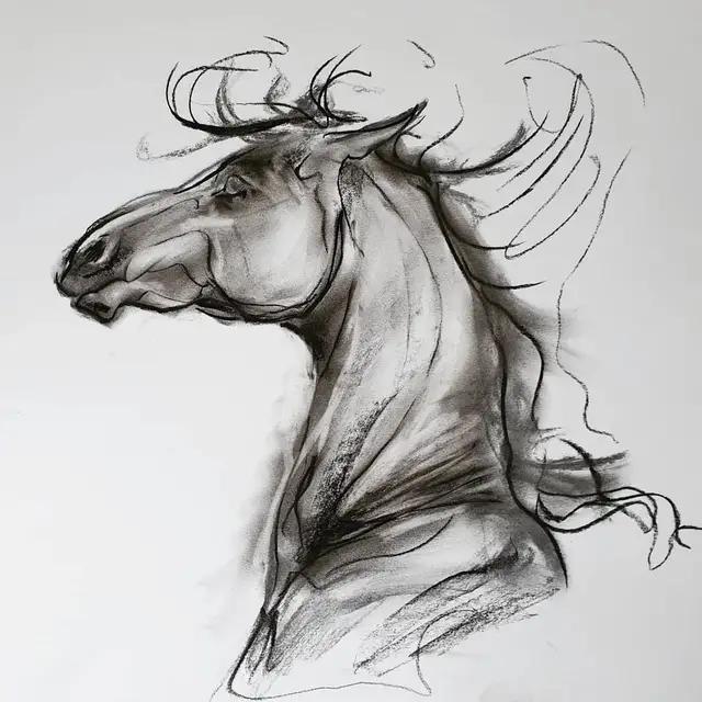 速写简笔画马,画速写不需要临摹