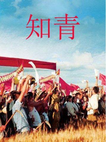 70年代知识青年上山下乡视频,说几部70年代的知青下乡电视剧名