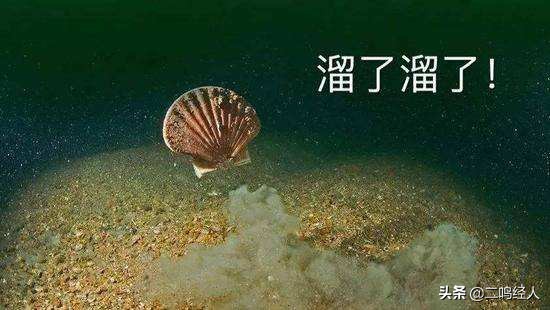 投资的秘密完整版,投资界的秘密是什么