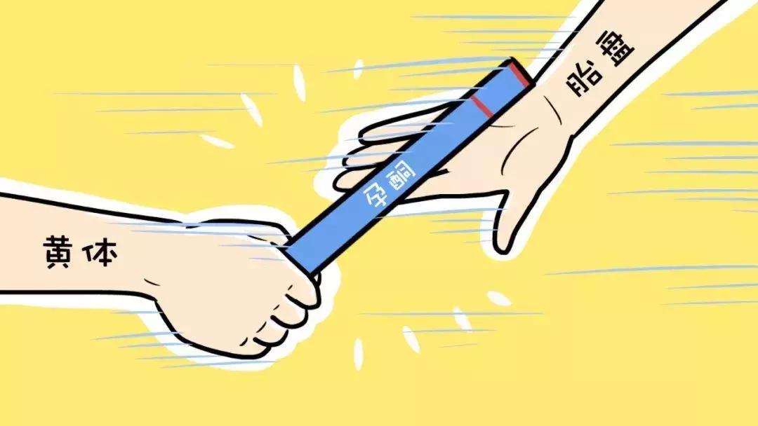 怀孕初期孕酮低吃什么蔬菜补得快,怀孕初期hcg值低但是孕酮正常