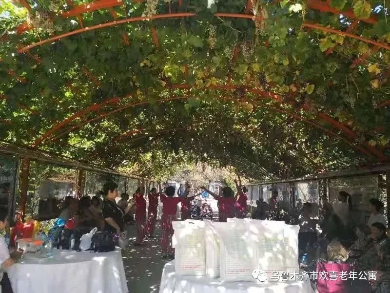 *疆新**欢喜老年公寓创始人热孜亚：她用爱为老人心中照进一束光