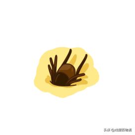 夏季炎热，狗狗便血而亡，元凶藏在这里！你家狗也会有