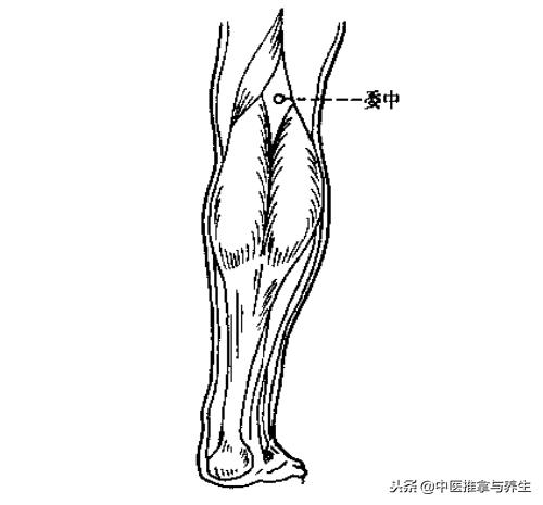 体内水湿泛滥怎么办,体内水湿严重怎么调理