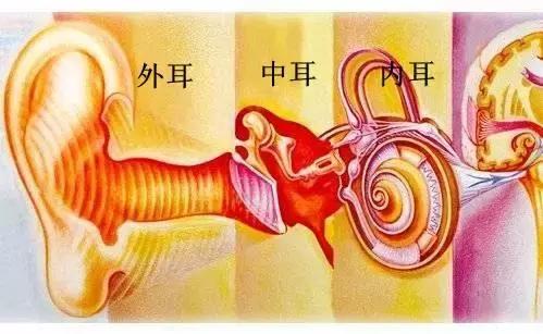 突发性耳聋和脑血管有关系吗,突发耳聋可怕吗