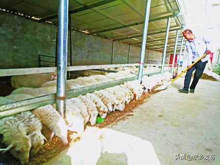 高品质打赢脱贫攻坚战,高品质发展巩固拓展脱贫攻坚成果