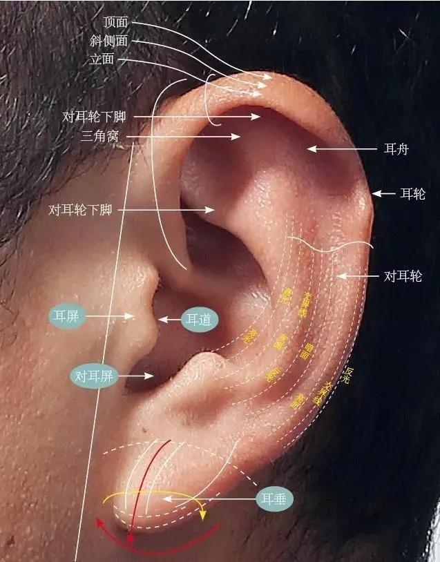 20万玻尿酸,一连打6支玻尿酸会怎么样
