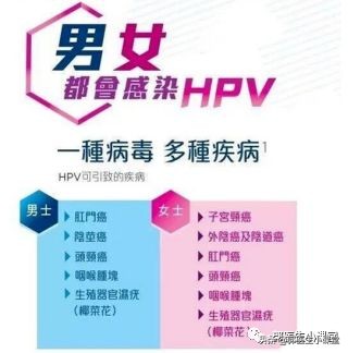 男性hpv11阳性怎么治疗最有效,五十多岁hpv阳性到底要不要治疗