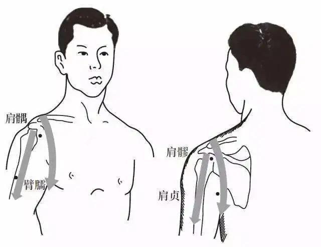 教师节忘了给老师送花怎么补救,教师节送给老师的花怎么处理