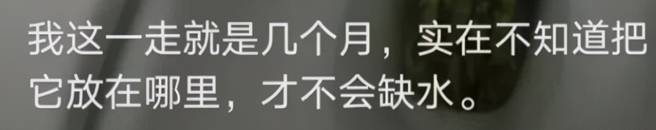 “为什么*子骰**上只有1和4是红色的？”网友神评竟是一段民间故事