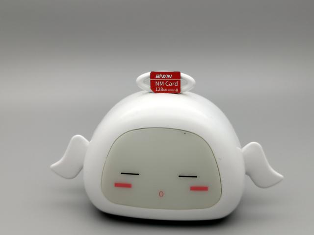 华为佰维nm存储卡,佰维nm存储卡与雷克沙