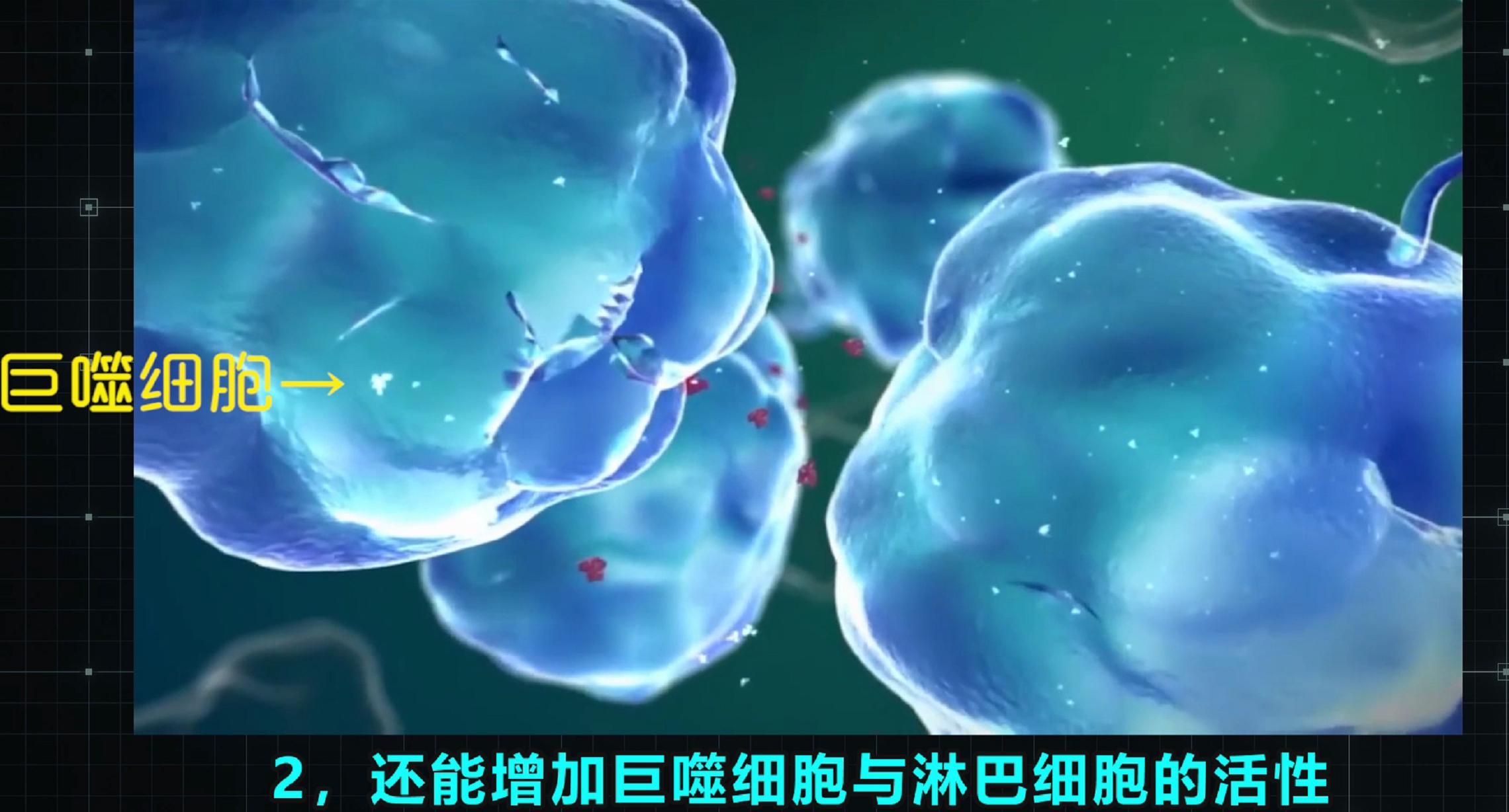 病毒性早期肝硬化干扰素能逆转吗,干扰素可以逆转肝硬化吗