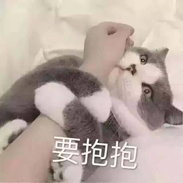 猫抓伤破皮没出血用打狂犬病针吗,潜伏期的猫抓伤人会导致狂犬病吗
