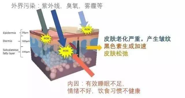 澳洲爆火的神奇爆奶霜，秋冬季有它就够了，一搓爆奶