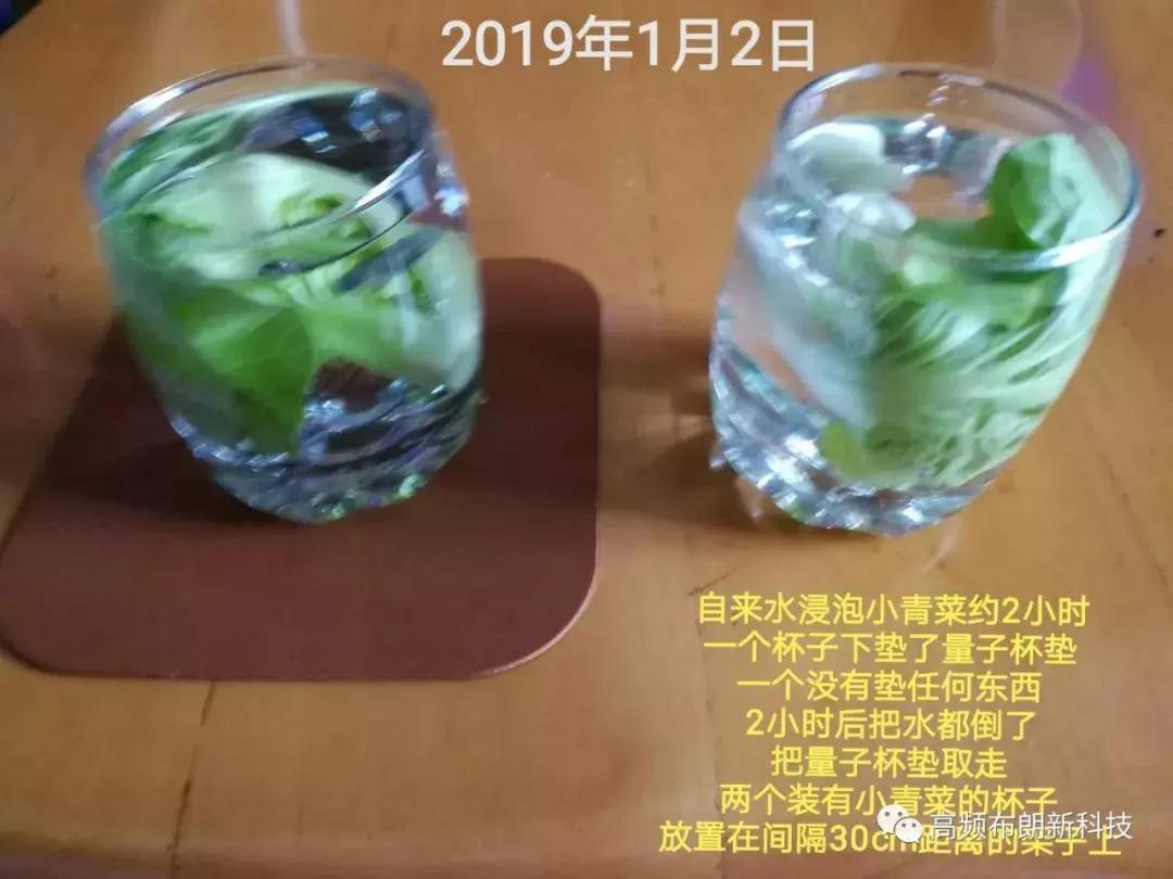 三域中盛，高频布朗科技能量产品全球企业火热加盟中